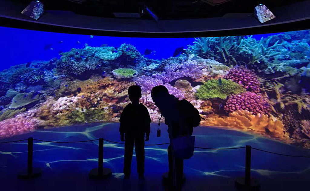 一周一館 | “索尼探夢”科技館插圖(13)