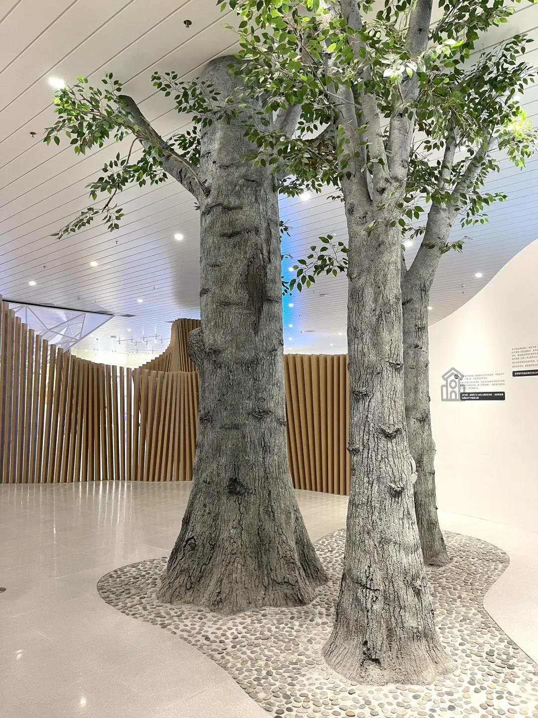 巖星特刊 | “疫苗博物館”，透過歷史切片見證偉大事業(yè)插圖(5)