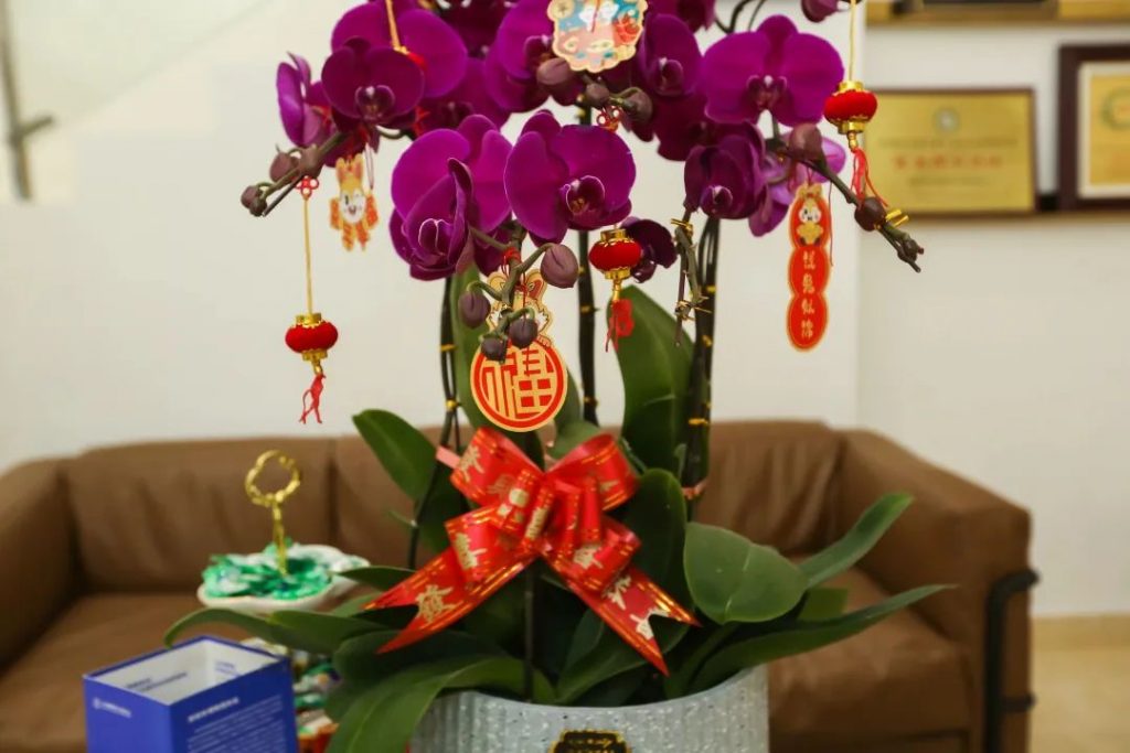 星之聲 | 新開序章,揚(yáng)帆起航!插圖(2) 星之聲 | 新開序章,揚(yáng)帆起航!插圖(2)